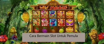 Slot Untuk Pemula